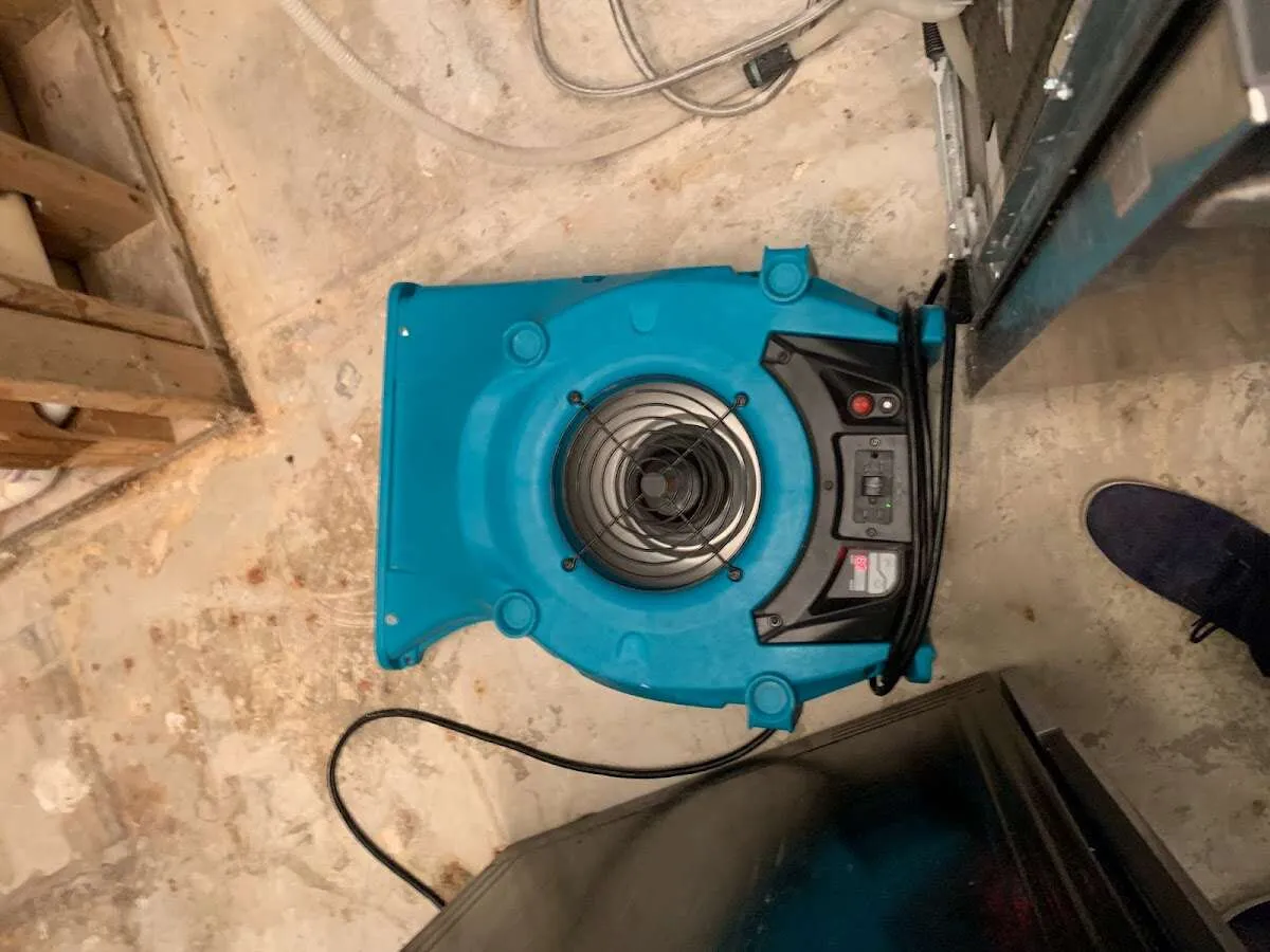 Air mover drying equipment for Mold Remediation & Removal in Southaven